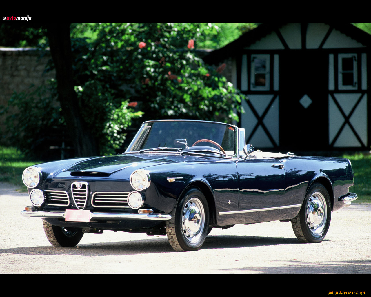 , alfa, romeo